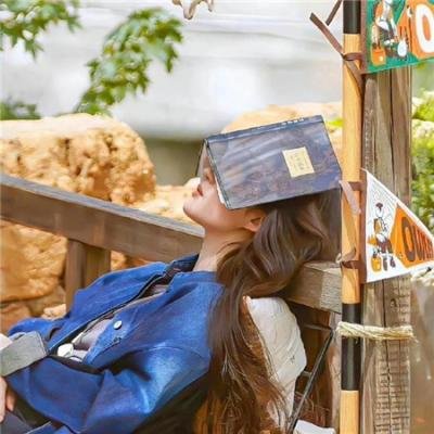 赔了夫人又折兵